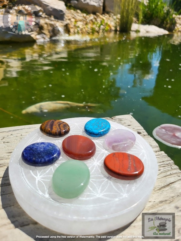 Pierre des 7 chakras – Équilibre de vos Énergies – augmentation de votre taux vibratoire – auto-soin spirituel – ouverture de vos canaux