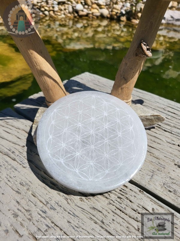 Cercle Sélénite - Fleur de vie - 12 cm - connexion spirituelle - méditation - purification et augmentaion vibratoire